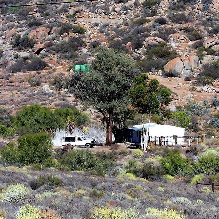 Middelkraal Accommodation Garies Dış mekan fotoğraf
